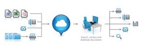 Accounts Payable Services